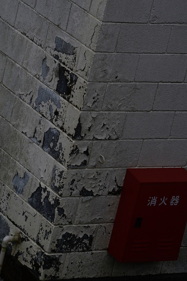 35350543_1980065215359920_6672410055737868288_o