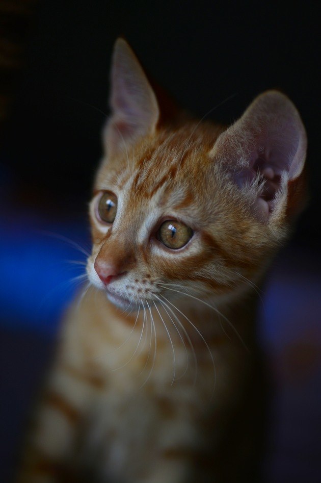 62488336_2553167934716309_4147390944104153088_n