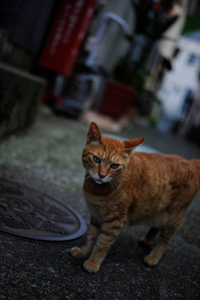 35283756_1980062512026857_231559412257390592_o