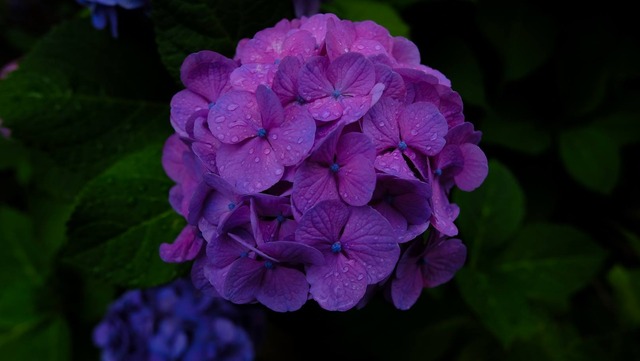 35648040_1983791974987244_7209437106978947072_o