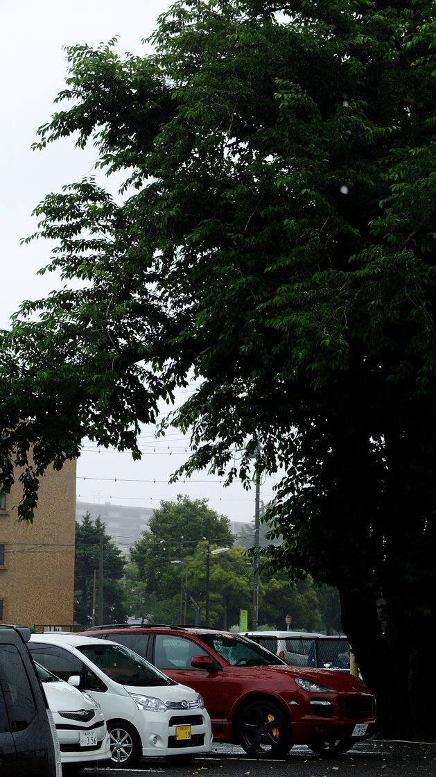 35306087_1977191358980639_4043216366310785024_o