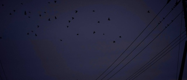 35839116_1989474571085651_4337191845336449024_o