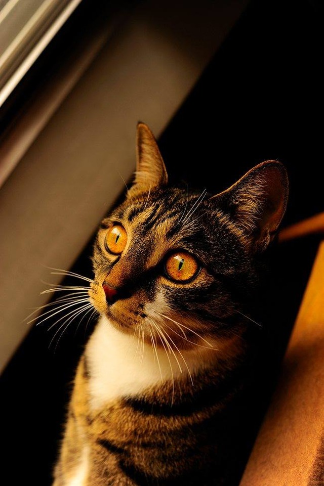 62515056_2553168298049606_3056398332420161536_o