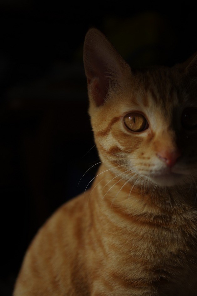 64235910_2553165904716512_5887345512121630720_n