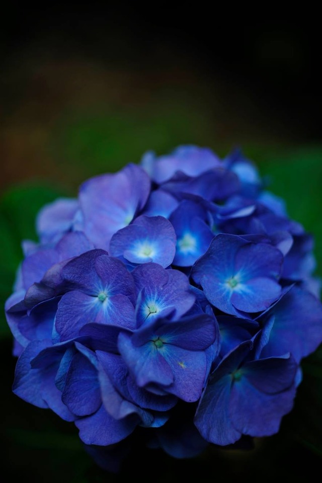 35236565_1980068905359551_6565009334734946304_o