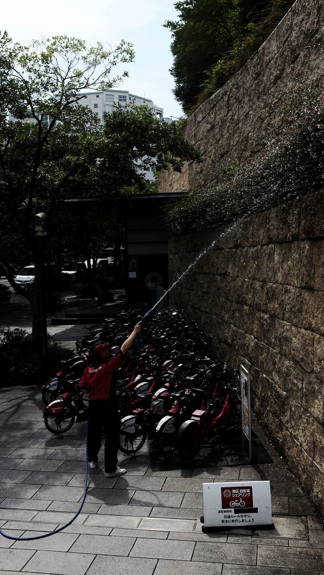 35894328_1990182541014854_328418273471234048_o