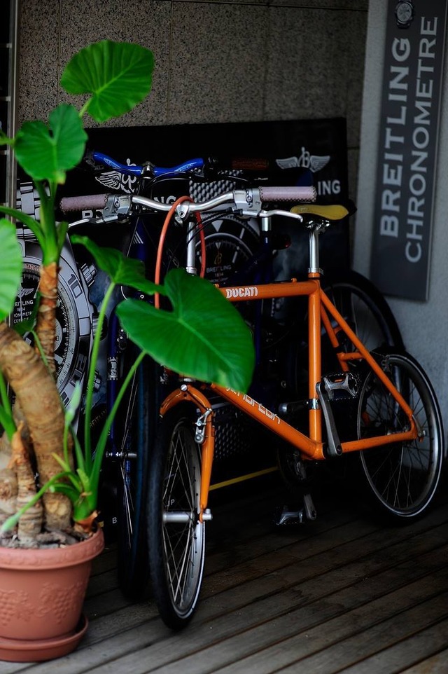 35884288_1989474757752299_6370000669692133376_o