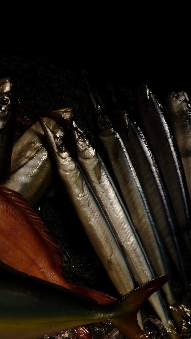 35920358_1990182281014880_6603591867768504320_o