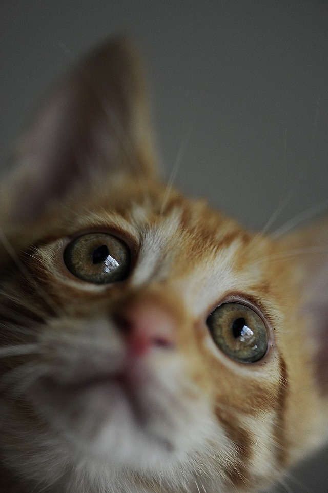 63853492_2553167031383066_1124626577888378880_o