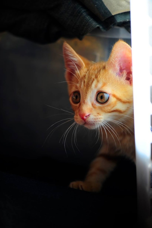 62610486_2553167458049690_1493893477858017280_o