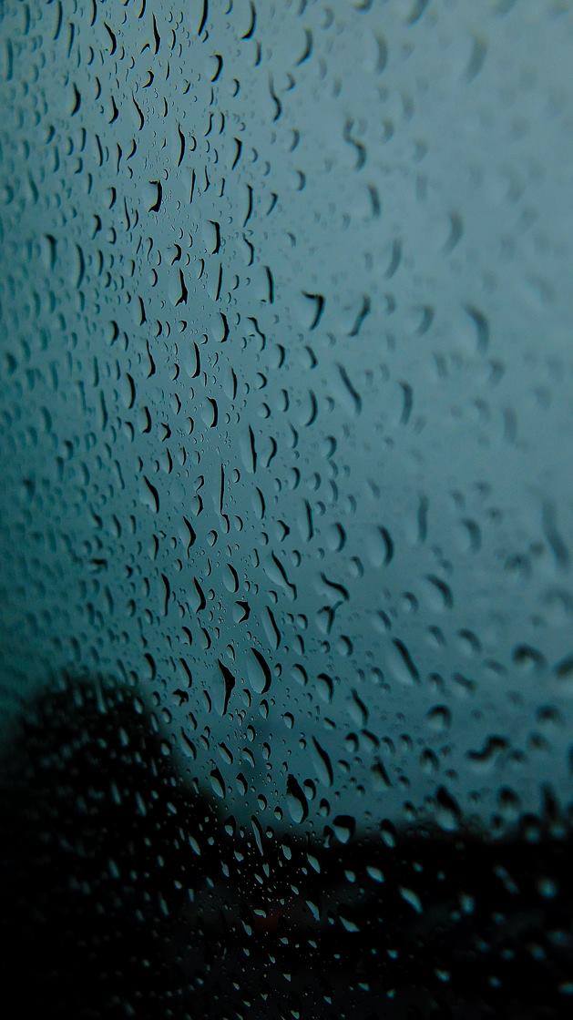 35204866_1977186465647795_5056480193175093248_o