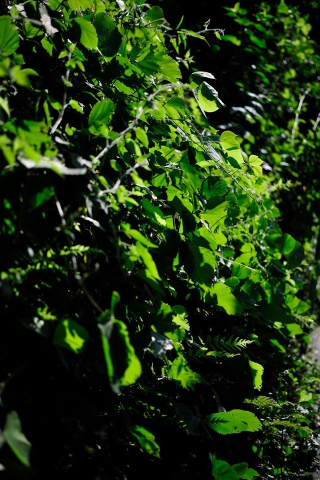 35416233_1980061905360251_1896014438100631552_o