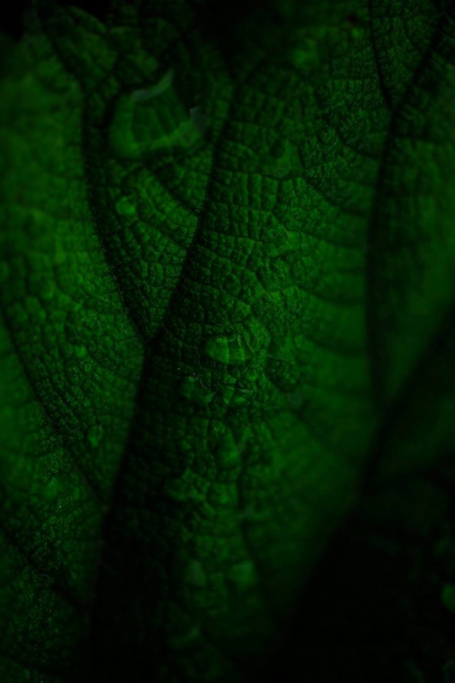 35768460_1987873461245762_3232627549313957888_o