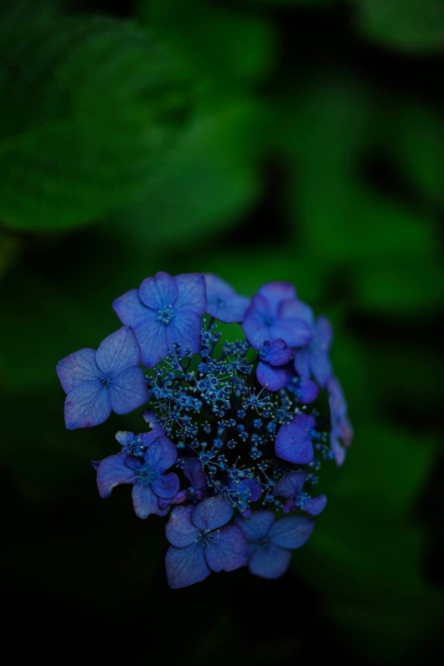 35346553_1980064805359961_1807969463958503424_o