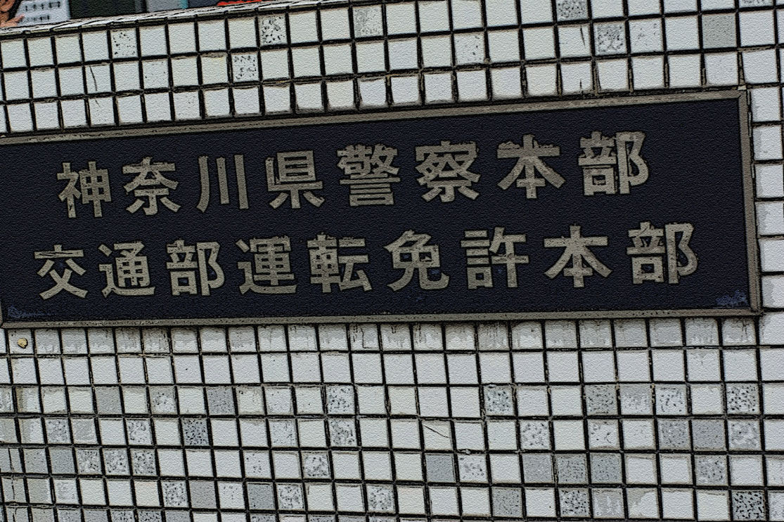 イメージ 10