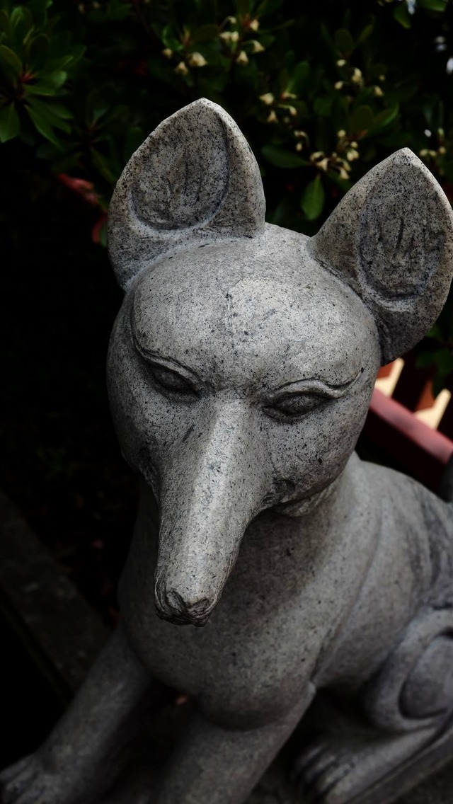 35927028_1988628401170268_955586659506716672_o