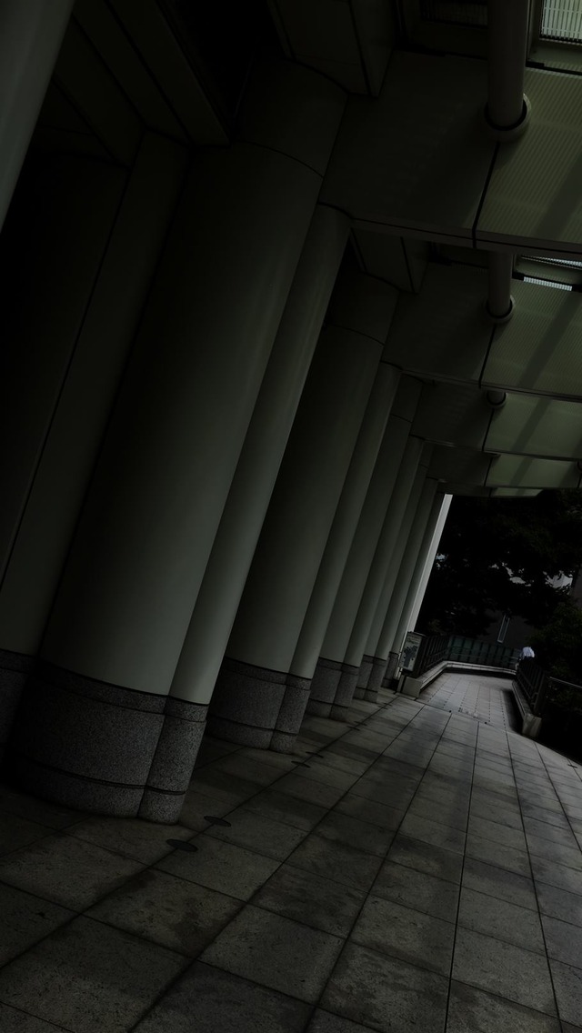 35900576_1990182097681565_2177442539538219008_o