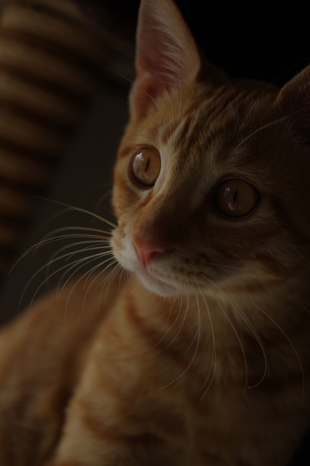 62456824_2553166884716414_3752642982419890176_n