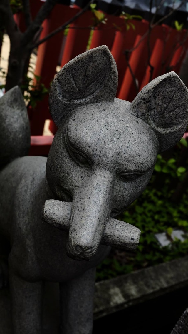 35859273_1988628527836922_9046561470367662080_o