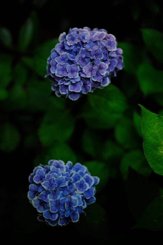 35403094_1980062728693502_3797050174006624256_o