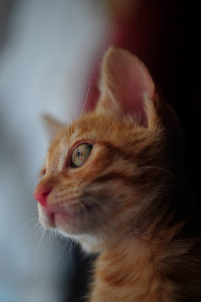 62429652_2553167448049691_6937689492459356160_o