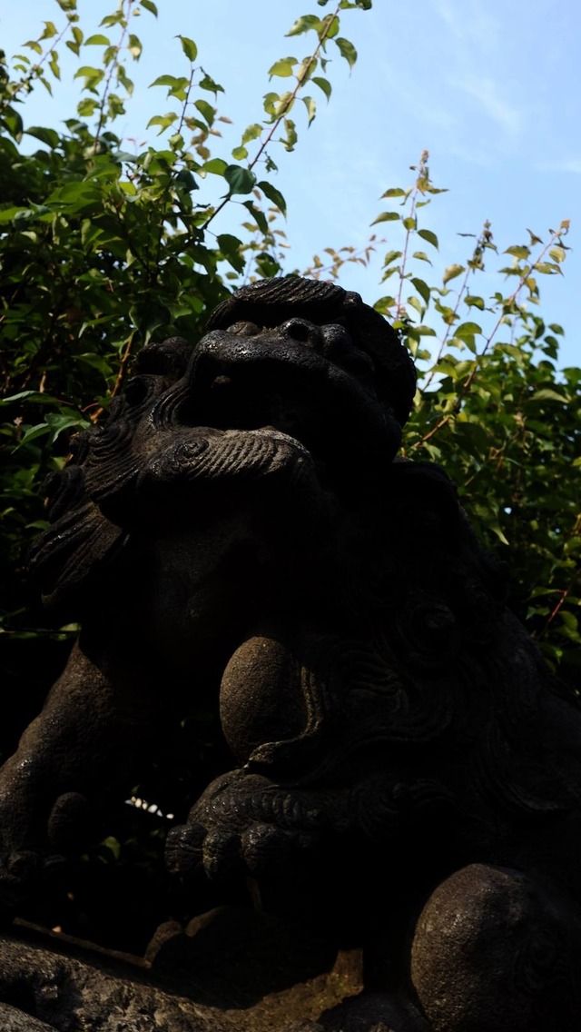 35970752_1990186201014488_6694498801958256640_o