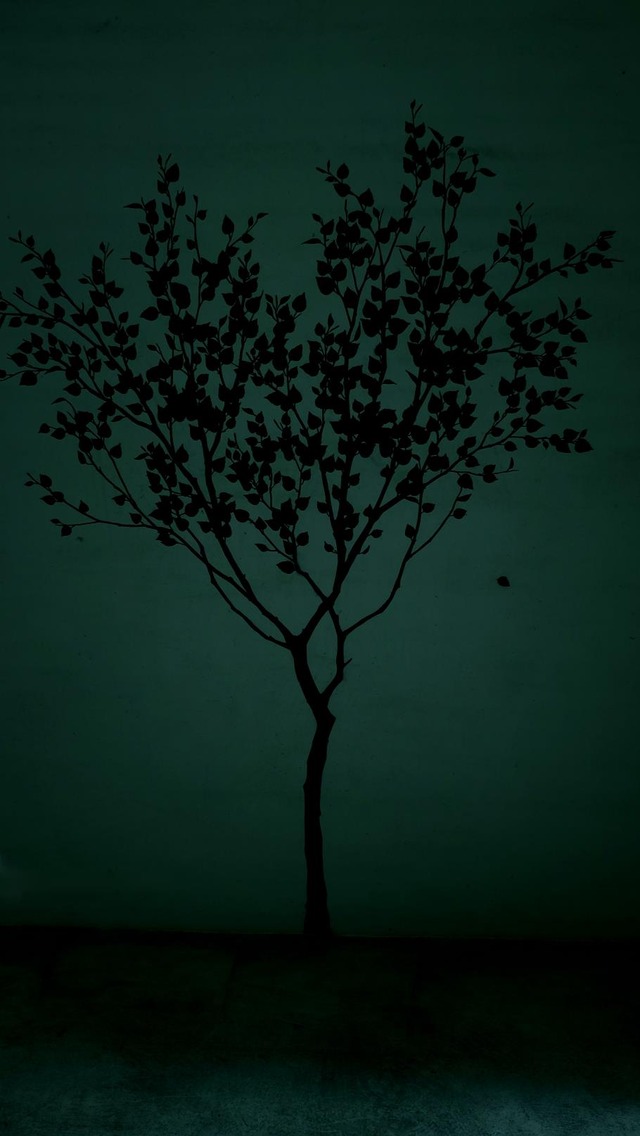 35924305_1988628807836894_6783572317688561664_o