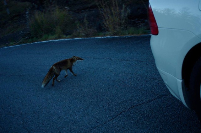 35922653_1989475301085578_3797282372823547904_o