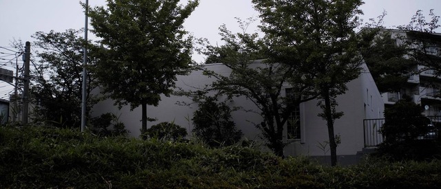 35972407_1989475324418909_6026643056856399872_o