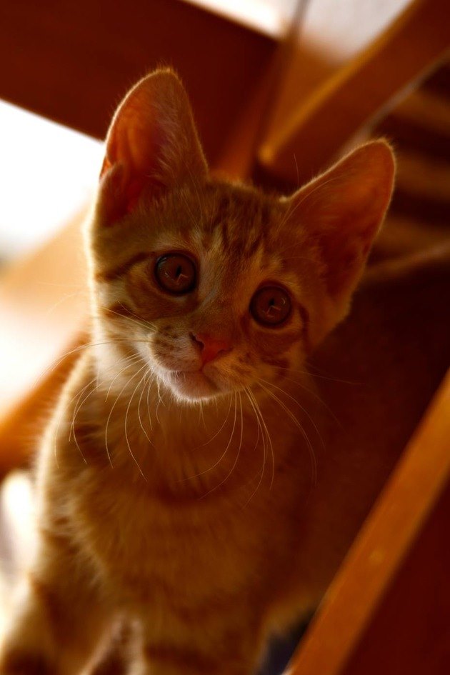 62549140_2553166968049739_1281346940927213568_n