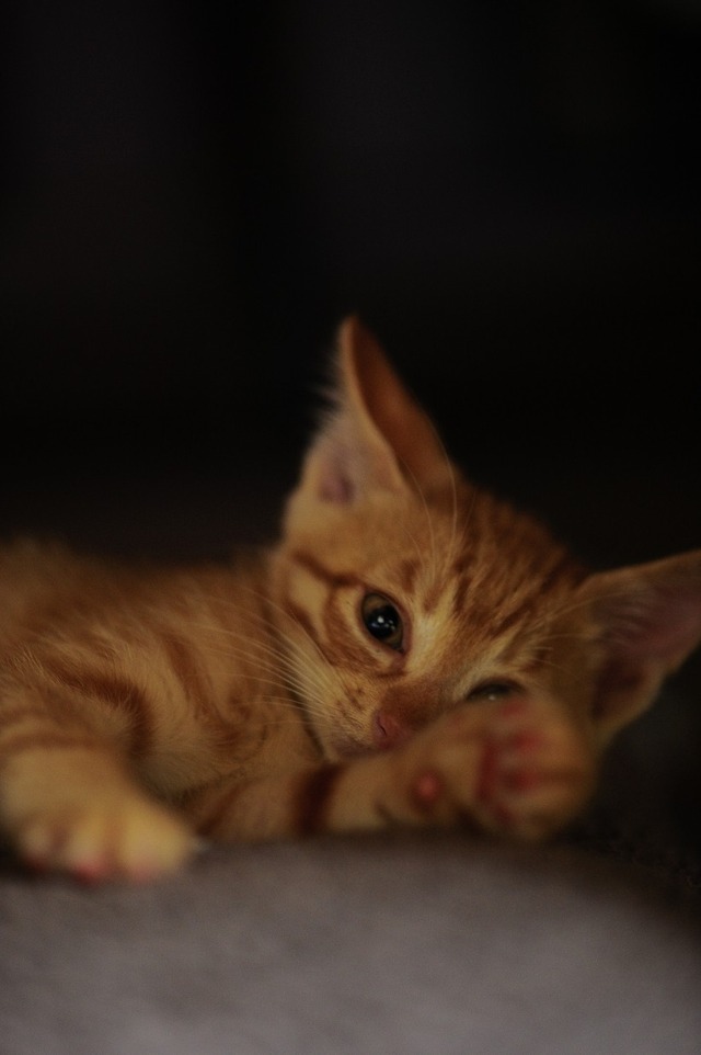 62531182_2553167671383002_8631615694829518848_o