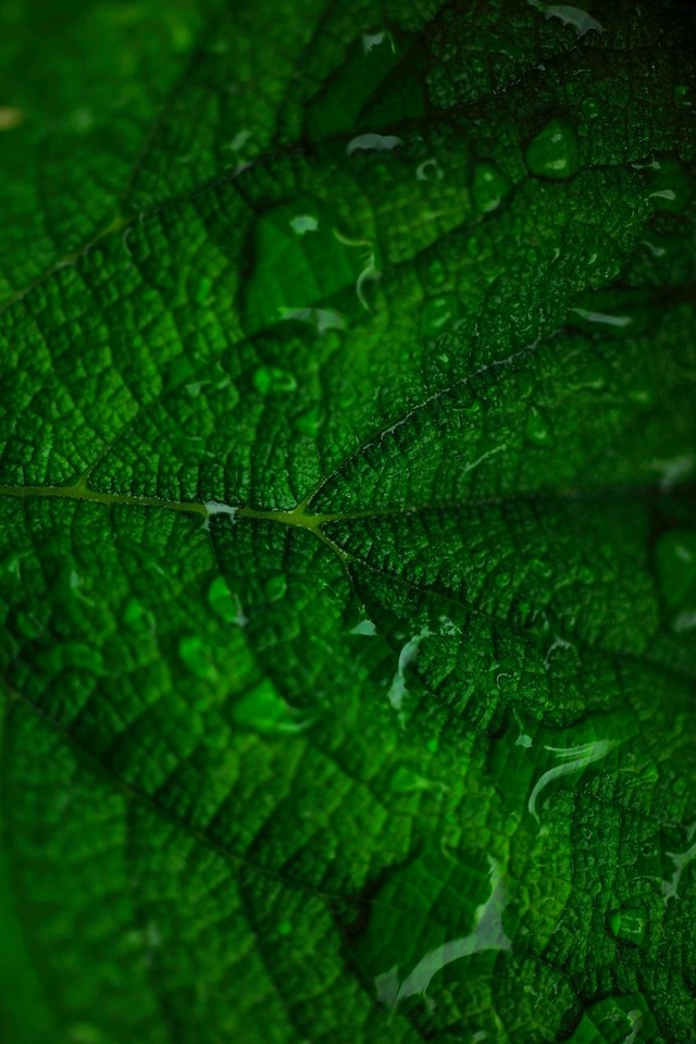 35849161_1987875511245557_4383261623058432000_o