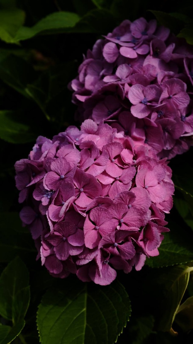 35975698_1990182664348175_330602564988960768_o