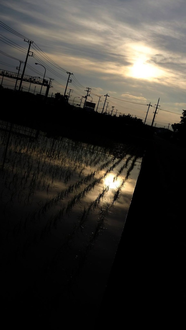 35901400_1988635677836207_3312053451805949952_o