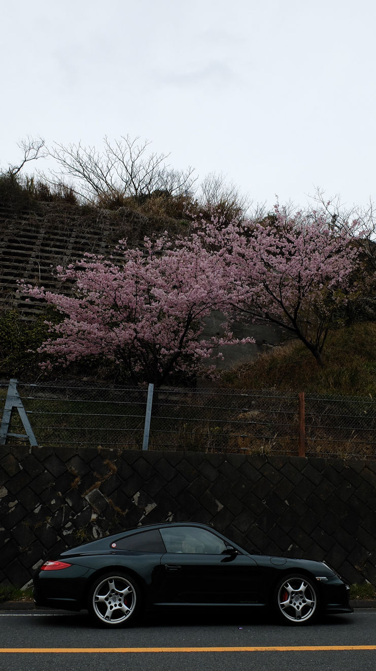 イメージ 3