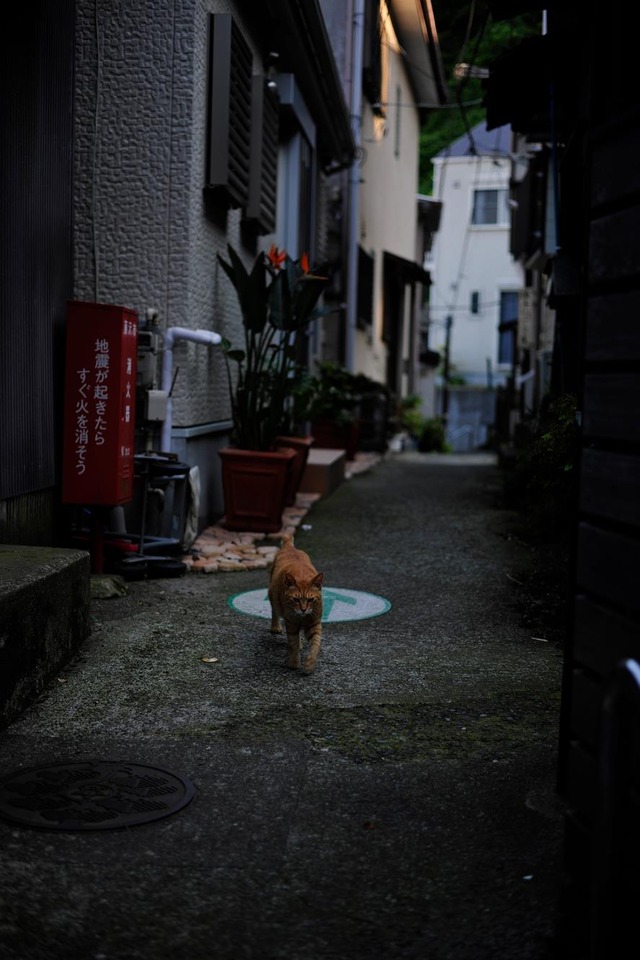 35364349_1980068432026265_2316865016281694208_o