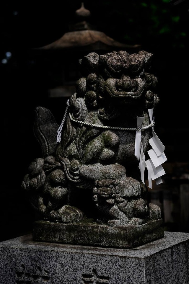 35877660_1989469521086156_5762670273740406784_o