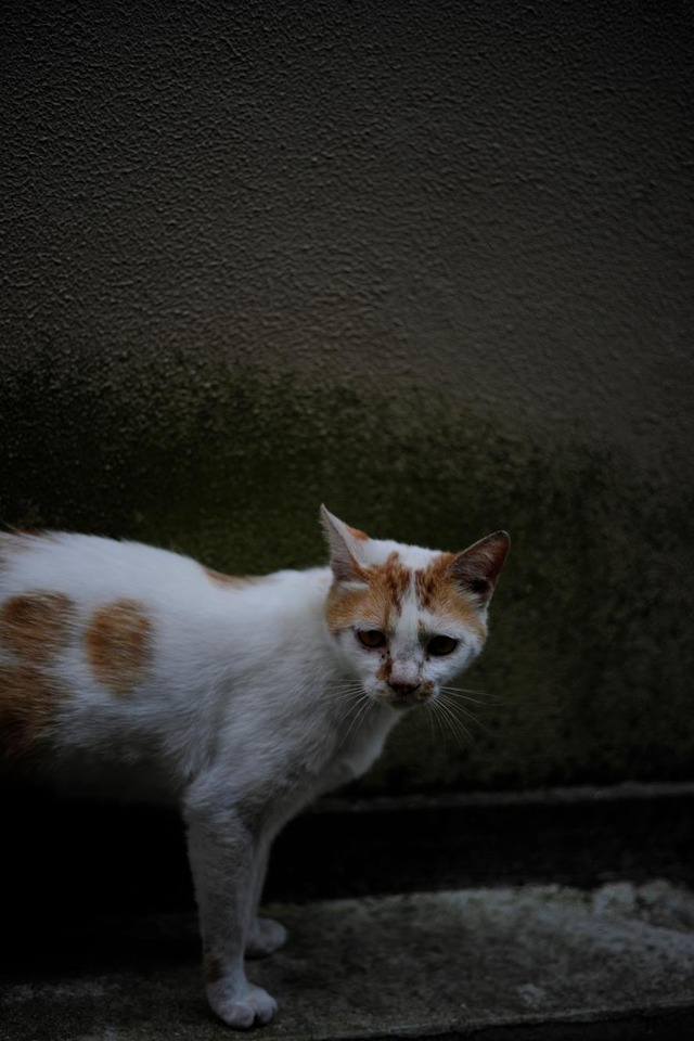 35350073_1980064435359998_5070086129877778432_o