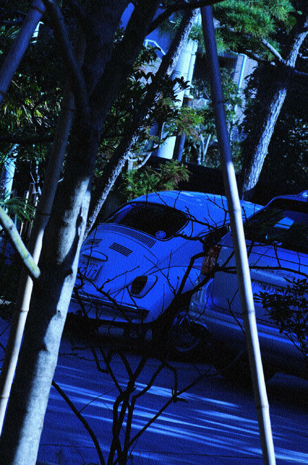 イメージ 9