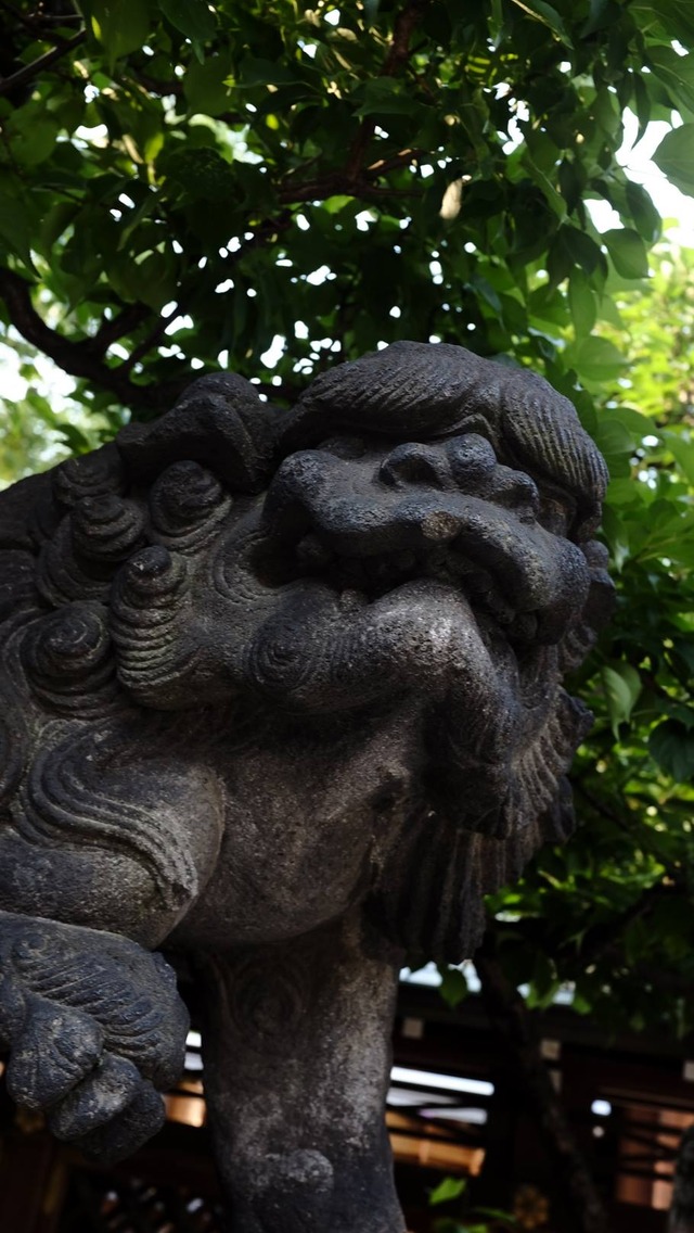 35686758_1990186074347834_4572875688918384640_o