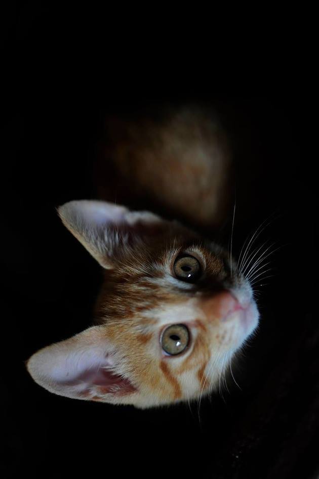 35228484_1977190635647378_5978426972307456_n