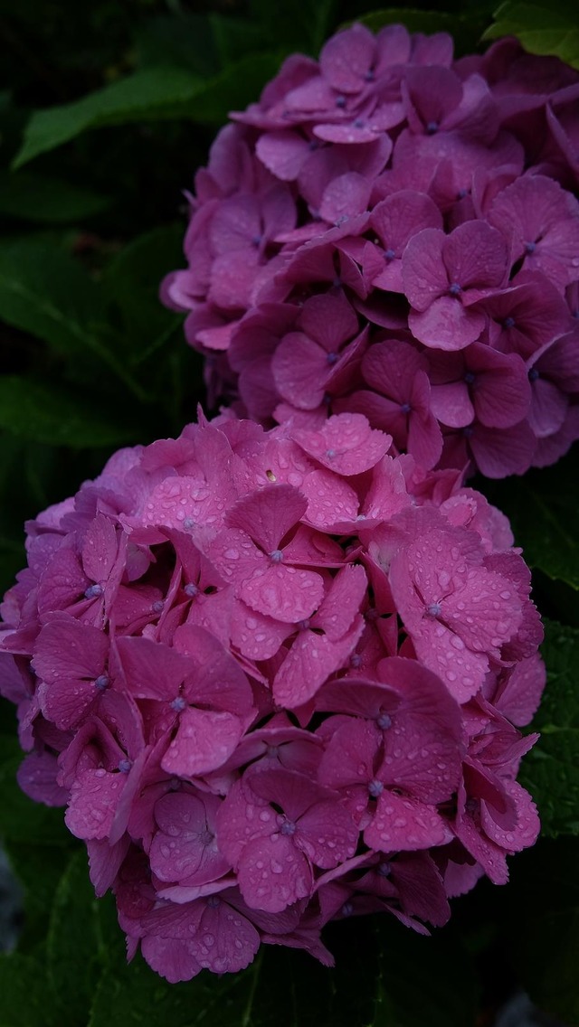 35628921_1983792131653895_9087409907887505408_o