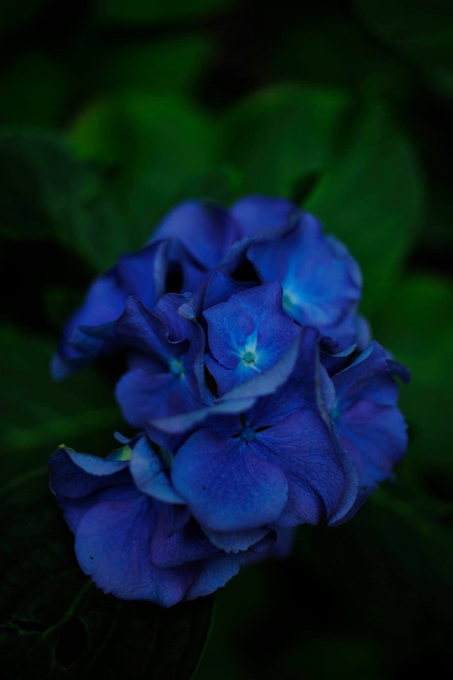 35372483_1980064528693322_3625797067567267840_o