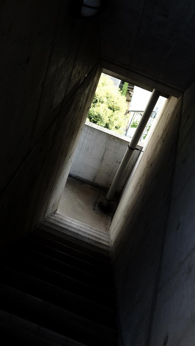 35925261_1990183677681407_2134665631637700608_o