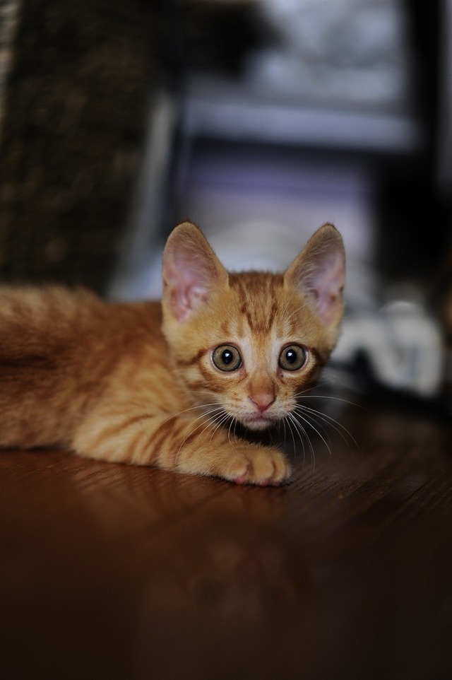 64358902_2553169744716128_1599220189218471936_o