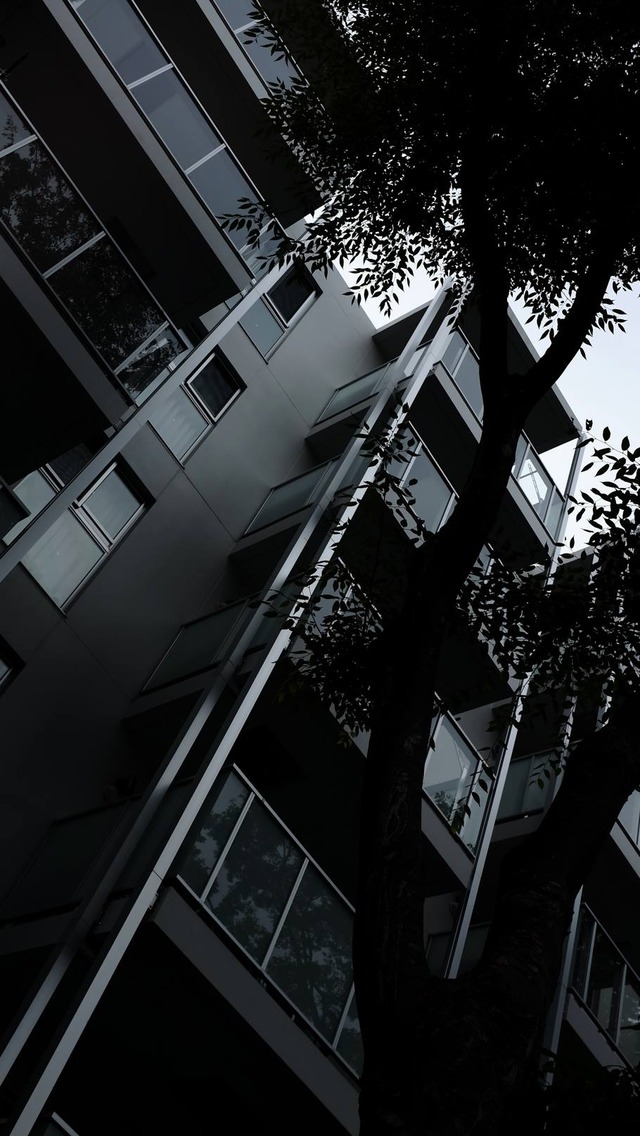 35761508_1988632144503227_8208863309424754688_o