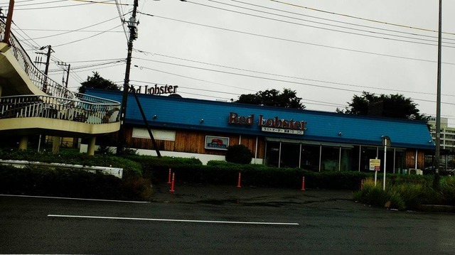 35189842_1977188288980946_335669161814392832_o