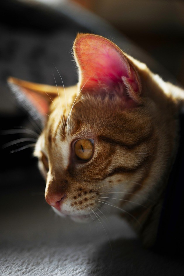 62649916_2553169664716136_836247200731234304_n