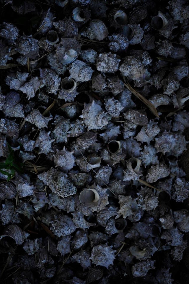 35311978_1980068665359575_8297969097539321856_o