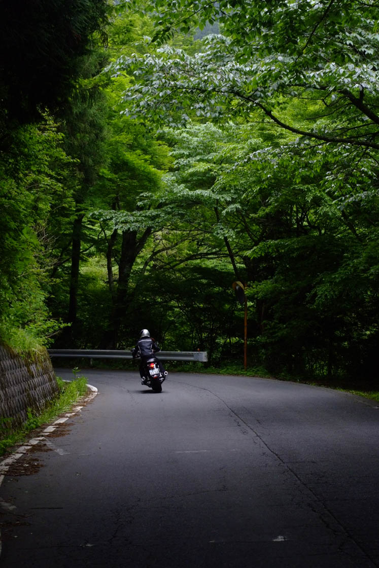 イメージ 5